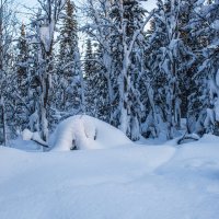 Последний день января :: Виктор Садырин Последний день января :: Виктор Садырин