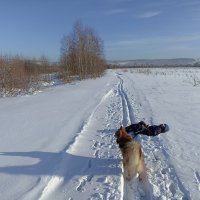 Лыжню! :: Павел Трунцев