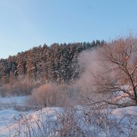 Зима :: tamara kremleva