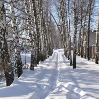 Первое февраля :: Татьяна Машошина Первое февраля :: Татьяна Машошина