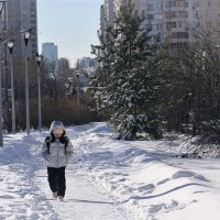 Из школы в плохом настроении. :: Татьяна Помогалова