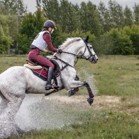 Кросс :: SanSan 