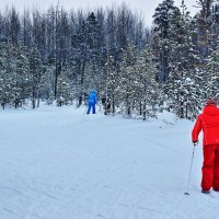 Оделась по восточному гороскопу! :: Владимир 