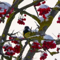 * :: Виталий Емельянов