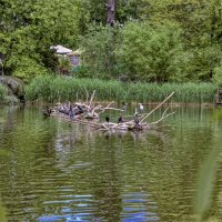 Венгрия\\Будапешт  2019г :: ujgcvbif 