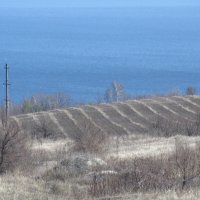 Хвалынские просторы :: Елена Шаламова