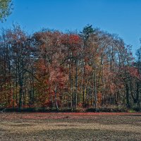 Пруд :: Jakob Dick