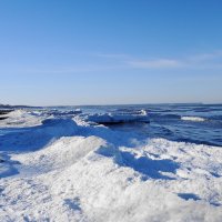 Зеленоградск, 31 января 2026 года :: Рита Симонова