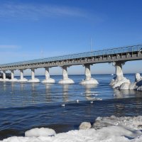 Зеленоградск, 31 января 2026 года :: Рита Симонова