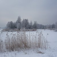 *** :: Геннадий Порохов