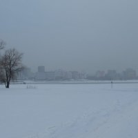 Берег Оби :: Андрей Макурин