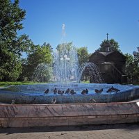 Водопой. Слободской. Кировская область :: MILAV V