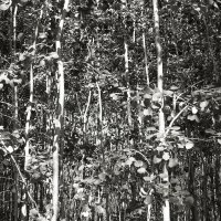 Фотография :: Денис Безногов