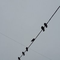 На посту :: Ирина Лесиканич На посту :: Ирина Лесиканич