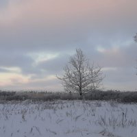 *** :: Наталья Герасимова