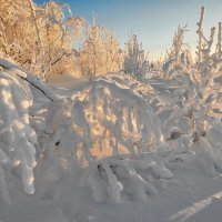 Зима :: Владимир Колесников