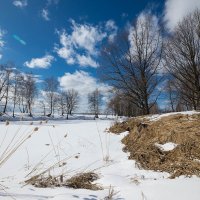 *** :: Андрей Андрианов