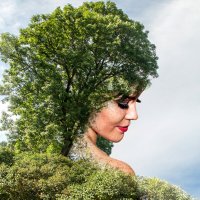 фантазия :: Андрей 