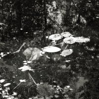 Фотография :: Денис Безногов