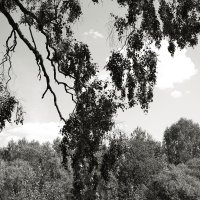 Фотография :: Денис Безногов