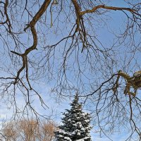 Солнечный день :: Игорь Сычёв