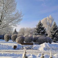 Февраль в городском парке :: Игорь Сычёв