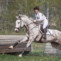 Кросс :: SanSan 