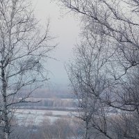 зимний туман :: Владимир Кириченко зимний туман :: Владимир Кириченко