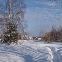 Левая пойма. :: Николай 