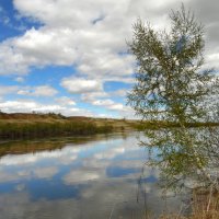 Отражается небо в воде. Или просто на воду упало. :: nadyasilyuk Вознюк Отражается небо в воде. Или просто на воду упало. :: nadyasilyuk Вознюк