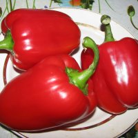 Красивый и вкусный перчик :: Людмила Смородинская