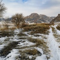 Идем берегом :: LudMila 