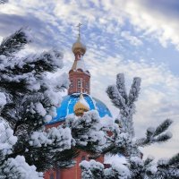 Зимняя картинка :: Ravile 