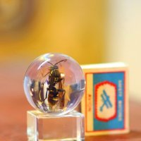 W :: Андрей Л. В.