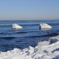 Балтийское море, Зеленоградск, Калининградская область :: Рита Симонова