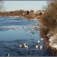 *** :: Aleksandr Gal