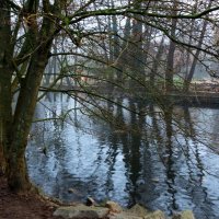 Февраль :: Юрий. Шмаков