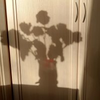 Тень букета :: Мария Васильева