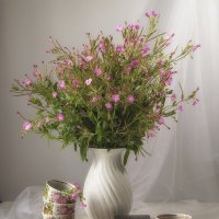 Чай с тульским пряником. :: Лилия * Чай с тульским пряником. :: Лилия *