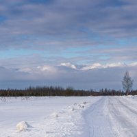 Ничто так не бодрит, как прогулка с фотоаппаратом на лыжах :: Игорь Сикорский