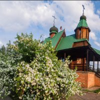 Ухта. Цветение северных мелкоплодных яблонь у Храма Покрова Престятой Богородицы :: Николай Зиновьев