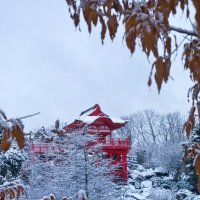 Красное на белом :: Андрей Евтеев Красное на белом :: Андрей Евтеев