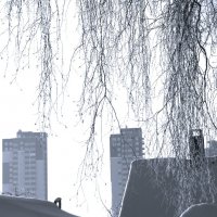 ***)* :: Сергей 