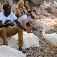 Черный и Белый :: skijumper Иванов