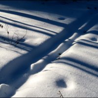 Крестики - нолики. :: Егор Бабанов