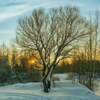 Магия зимних закатов :: Александр Филатов