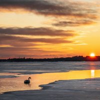 Одиночество :: Ирина 