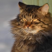 ИЗЮМ. :: DianaVladimirovna 