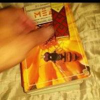 115 (96) :: CLOSE WAYS ALL