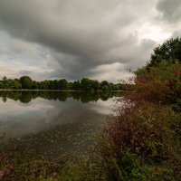 Серо- и сыроватенько... :: Николай Гирш